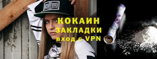 соль курить ск Новодвинск