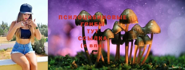 соль курить ск Новодвинск